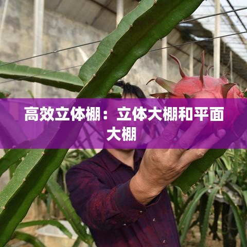 張口結(jié)舌 第3頁