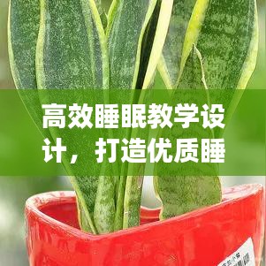 高效睡眠教學(xué)設(shè)計(jì)，打造優(yōu)質(zhì)睡眠模式，提升身心健康質(zhì)量