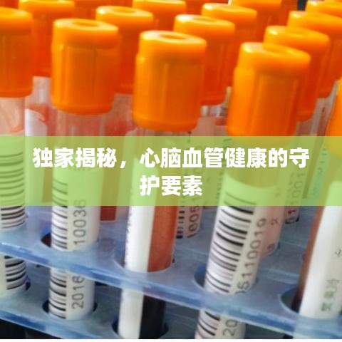 百年不遇 第3頁(yè)