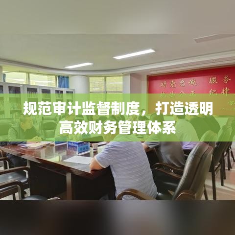 規(guī)范審計(jì)監(jiān)督制度，打造透明高效財(cái)務(wù)管理體系