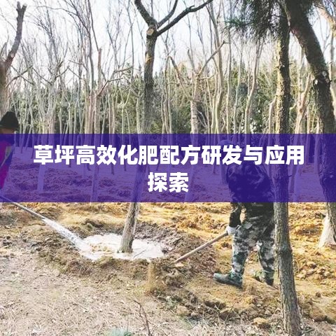草坪高效化肥配方研發(fā)與應(yīng)用探索
