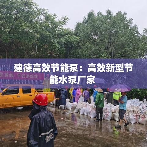 建德高效節(jié)能泵：高效新型節(jié)能水泵廠家 