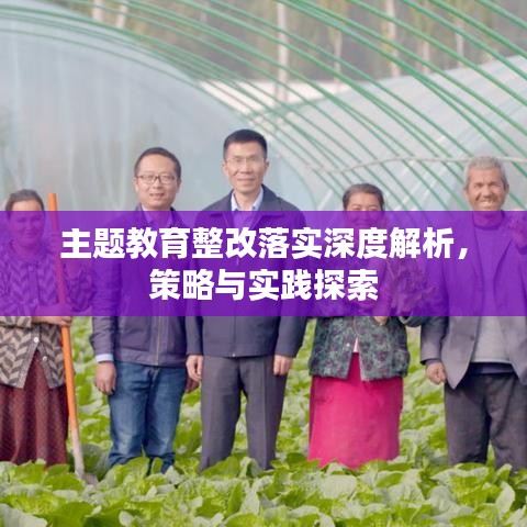 主題教育整改落實(shí)深度解析，策略與實(shí)踐探索