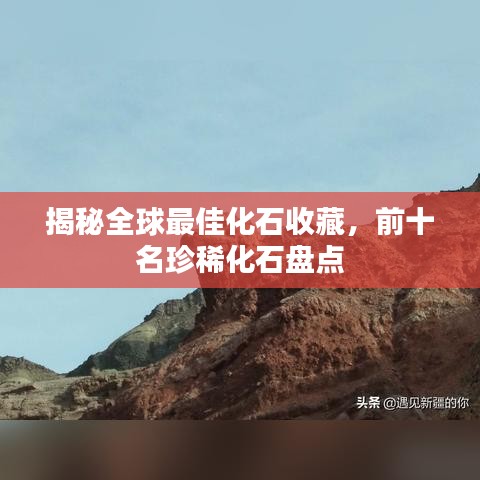 揭秘全球最佳化石收藏，前十名珍稀化石盤點