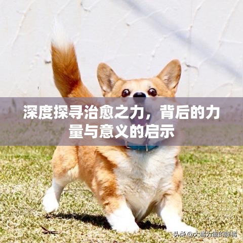 深度探尋治愈之力，背后的力量與意義的啟示