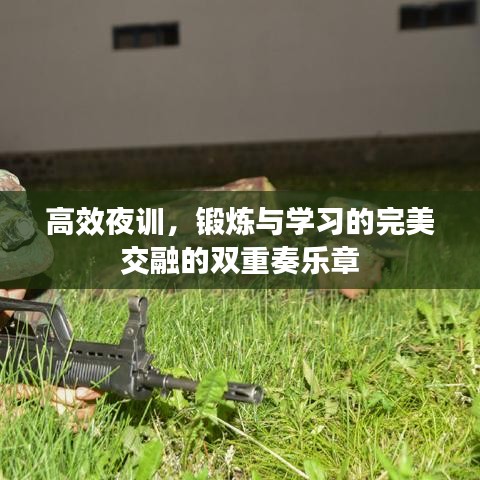 高效夜訓(xùn)，鍛煉與學(xué)習(xí)的完美交融的雙重奏樂章