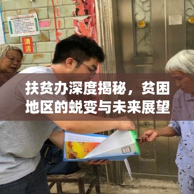 扶貧辦深度揭秘，貧困地區(qū)的蛻變與未來展望