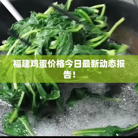 福建雞蛋價(jià)格今日最新動(dòng)態(tài)報(bào)告！