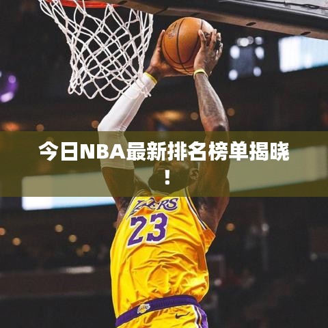 今日NBA最新排名榜單揭曉！
