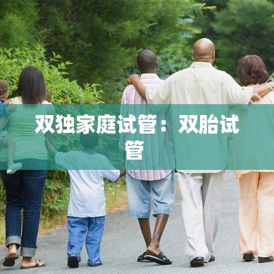 雙獨(dú)家庭試管：雙胎試管 
