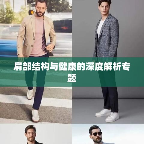 肩部結(jié)構(gòu)與健康的深度解析專題