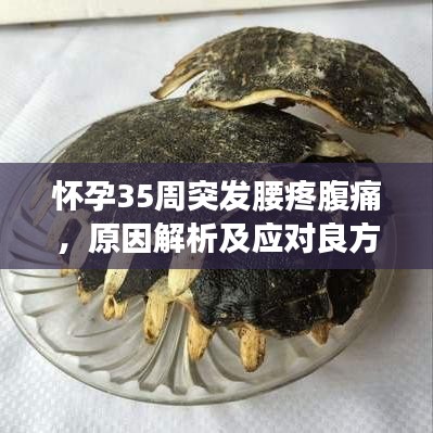 雍容華貴 第3頁