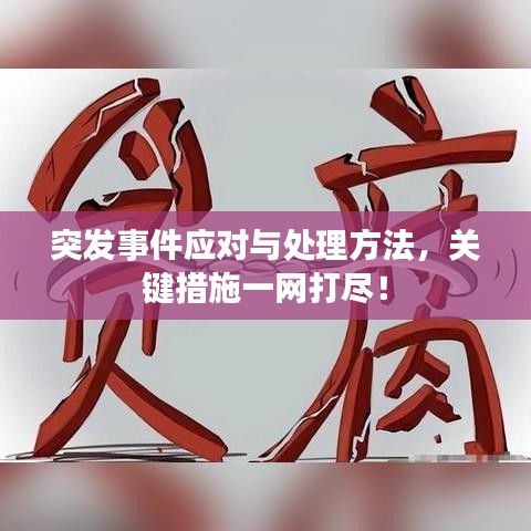 突發(fā)事件應(yīng)對與處理方法，關(guān)鍵措施一網(wǎng)打盡！