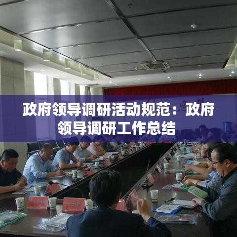 政府領導調研活動規(guī)范：政府領導調研工作總結 