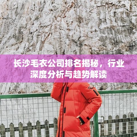 長沙毛衣公司排名揭秘，行業(yè)深度分析與趨勢解讀