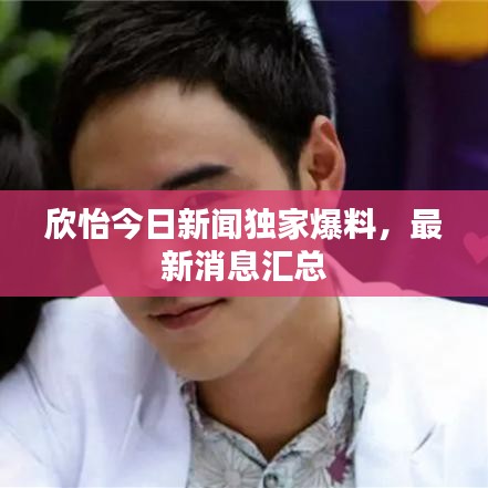 欣怡今日新聞獨(dú)家爆料，最新消息匯總