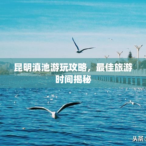 昆明滇池游玩攻略，最佳旅游時間揭秘
