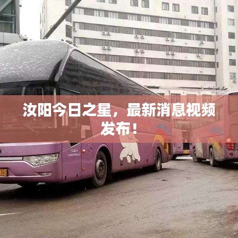 汝陽今日之星，最新消息視頻發(fā)布！