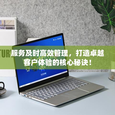 服務(wù)及時(shí)高效管理，打造卓越客戶體驗(yàn)的核心秘訣！