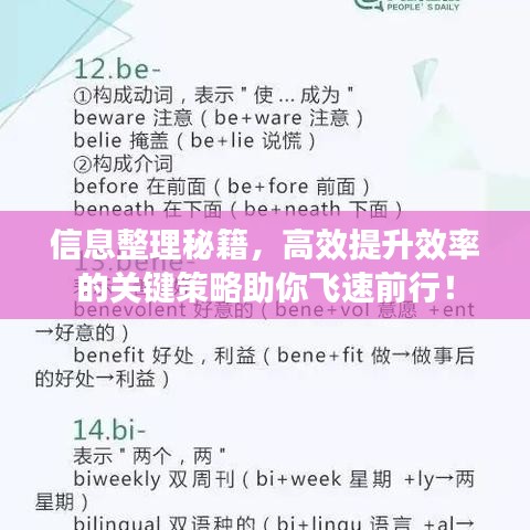 信息整理秘籍，高效提升效率的關(guān)鍵策略助你飛速前行！
