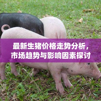 無(wú)拘無(wú)束 第3頁(yè)