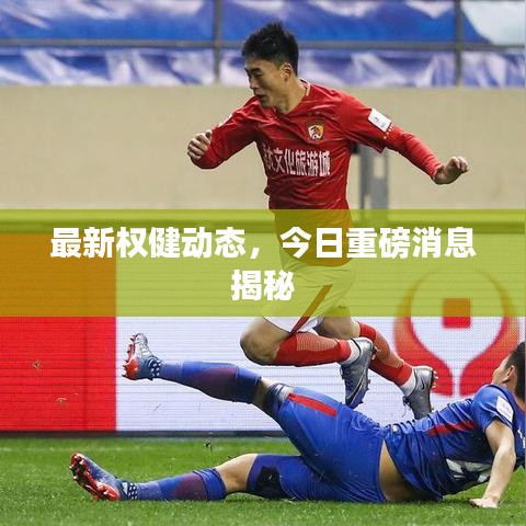 最新權(quán)健動(dòng)態(tài)，今日重磅消息揭秘