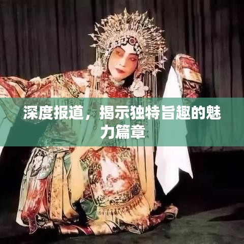 深度報(bào)道，揭示獨(dú)特旨趣的魅力篇章