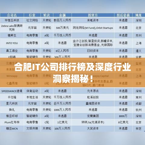 合肥IT公司排行榜及深度行業(yè)洞察揭秘！