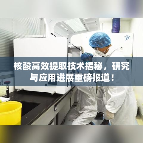 核酸高效提取技術(shù)揭秘，研究與應(yīng)用進(jìn)展重磅報道！