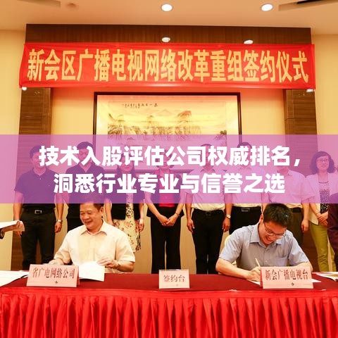 技術(shù)入股評(píng)估公司權(quán)威排名，洞悉行業(yè)專業(yè)與信譽(yù)之選