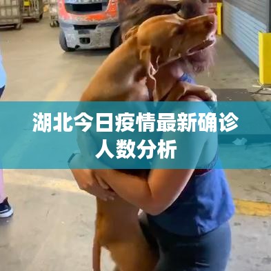 眼空四海 第3頁