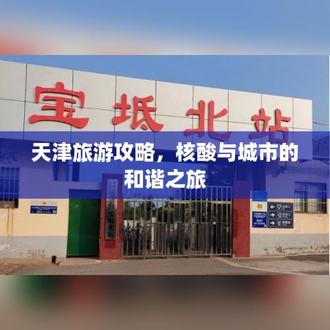 天津旅游攻略，核酸與城市的和諧之旅