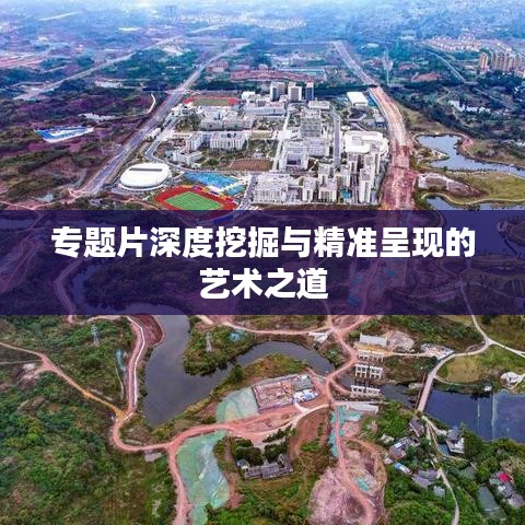 專題片深度挖掘與精準呈現(xiàn)的藝術之道