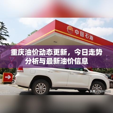 重慶油價(jià)動(dòng)態(tài)更新，今日走勢(shì)分析與最新油價(jià)信息