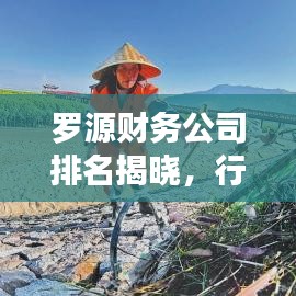 羅源財務(wù)公司排名揭曉，行業(yè)影響力不容小覷