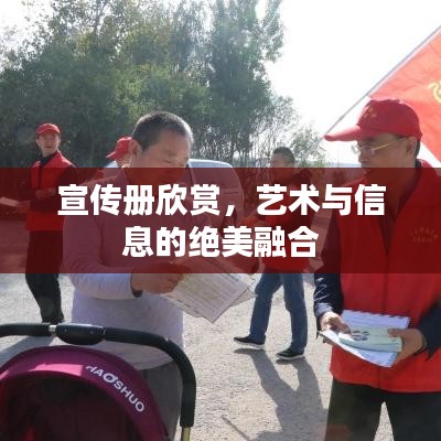 宣傳冊(cè)欣賞，藝術(shù)與信息的絕美融合