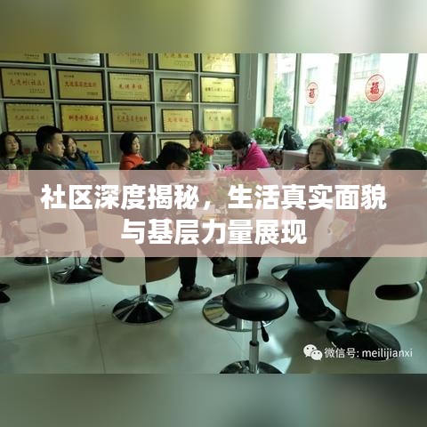 社區(qū)深度揭秘，生活真實(shí)面貌與基層力量展現(xiàn)