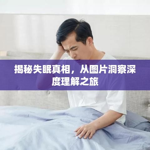 避難就易 第3頁(yè)