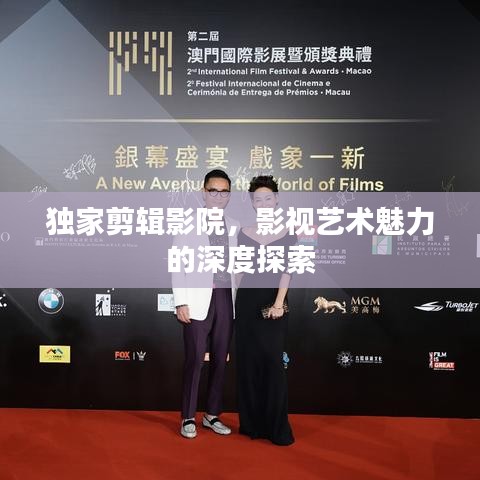 獨家剪輯影院，影視藝術(shù)魅力的深度探索