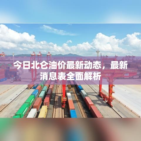 今日北侖油價最新動態(tài)，最新消息表全面解析