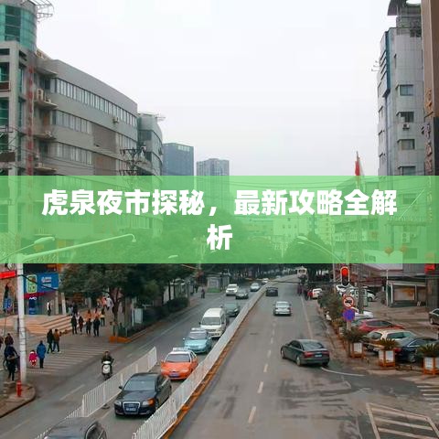 虎泉夜市探秘，最新攻略全解析