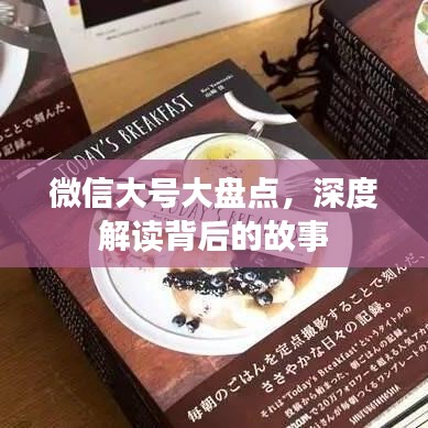 十全十美 第3頁(yè)