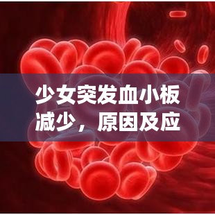 少女突發(fā)血小板減少，原因及應對方法解析