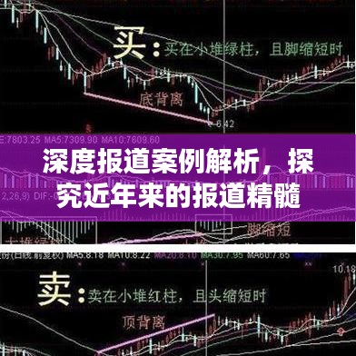 深度報道案例解析，探究近年來的報道精髓
