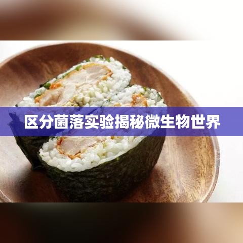 區(qū)分菌落實(shí)驗(yàn)揭秘微生物世界