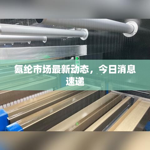 氨綸市場最新動態(tài)，今日消息速遞