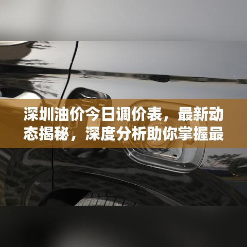 深圳油價(jià)今日調(diào)價(jià)表，最新動(dòng)態(tài)揭秘，深度分析助你掌握最新油價(jià)走勢！
