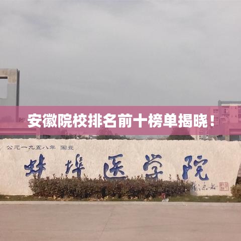 安徽院校排名前十榜單揭曉！