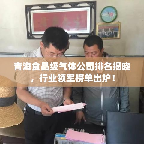 青海食品級氣體公司排名揭曉，行業(yè)領軍榜單出爐！