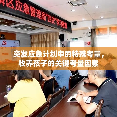 突發(fā)應急計劃中的特殊考量，收養(yǎng)孩子的關鍵考量因素